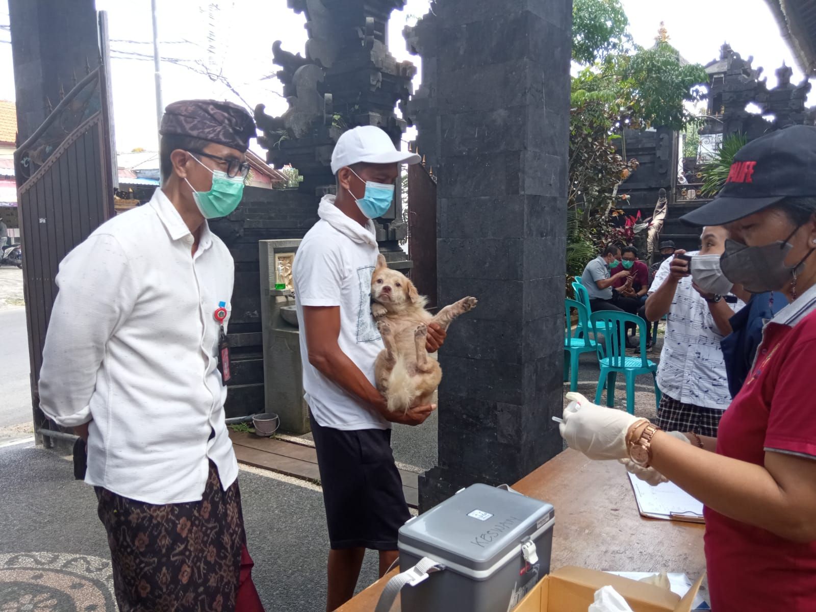 podiumnews.com-Laporan Gigitan, Dinas Pertanian dan Pangan Badung Terjunkan Tim Vaksinasi Anjing
